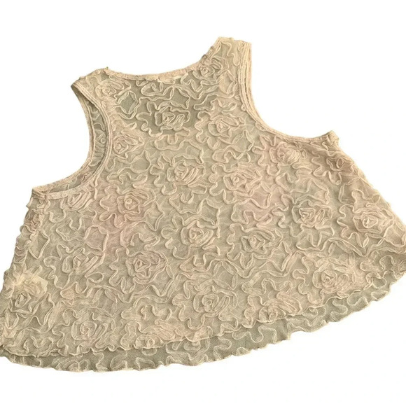 Free People Lace Rose Embroidery Mesh Crop Top - XS - Picture 3 of 5
